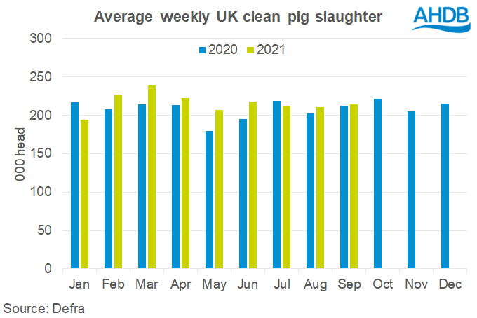 UK clean pig slaughter to October 2021